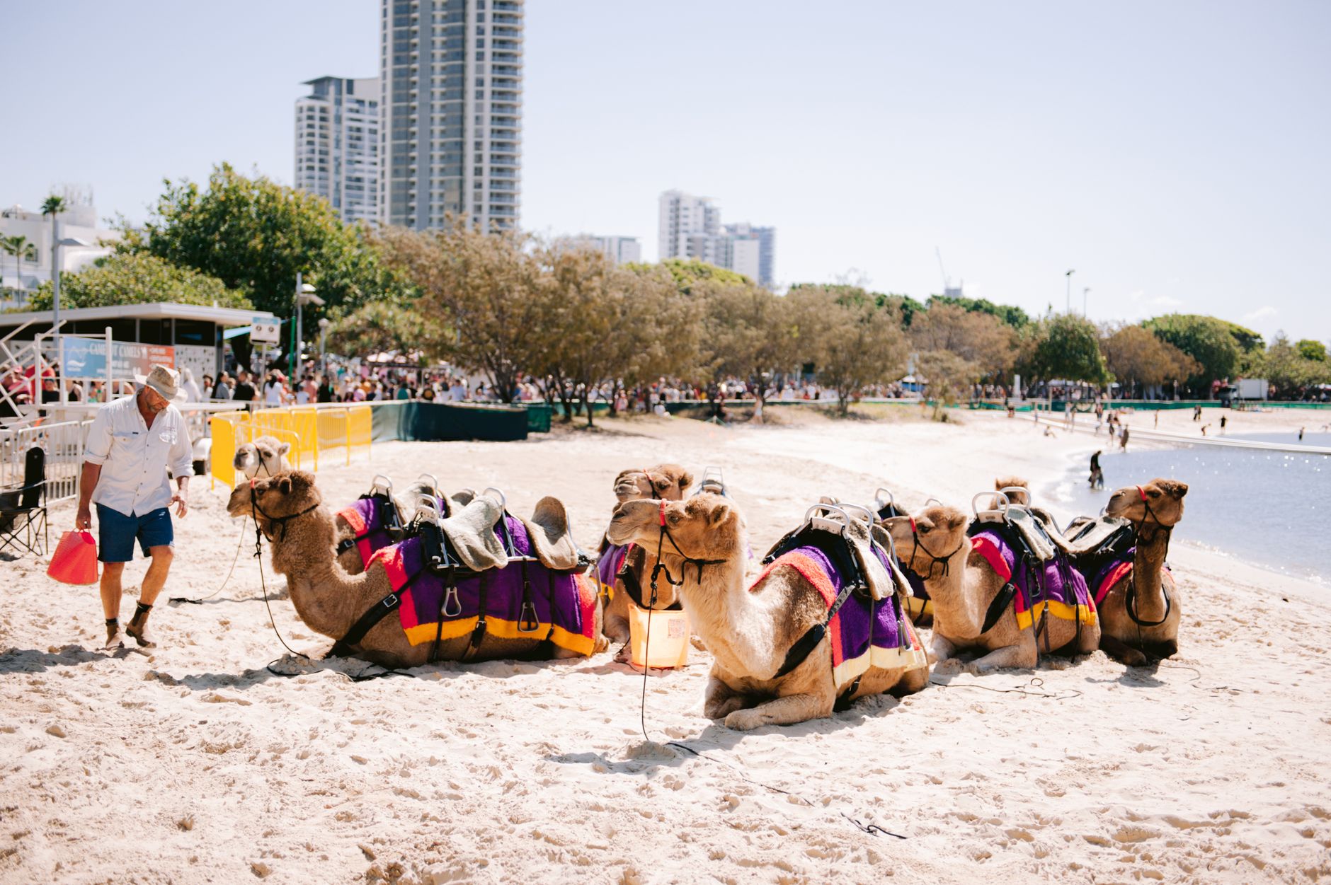 Gold Coast Culture Updates: Festival Shifts and Local Highlights for Visitors